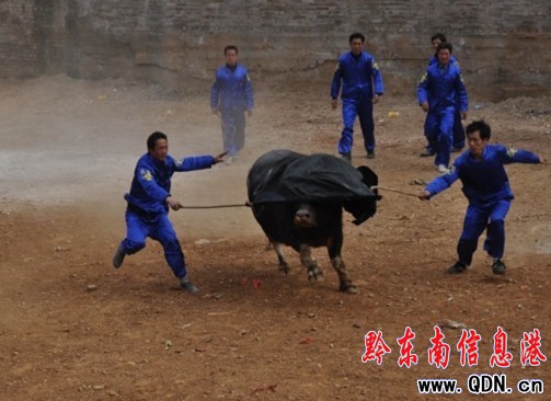 ţ������ِ