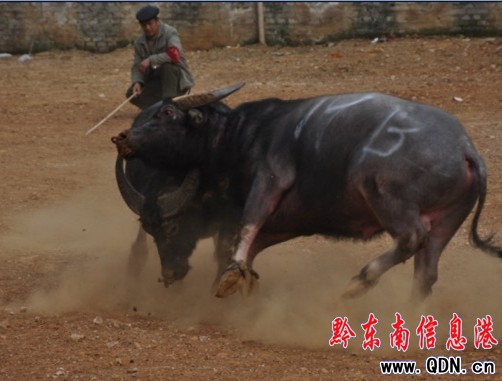 ţ������ِ