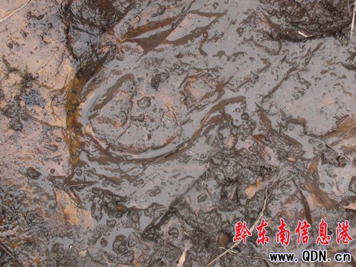 �����l�F�R���Ύrӡ���M�D��