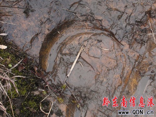 �����l�F�R���Ύrӡ���M�D��