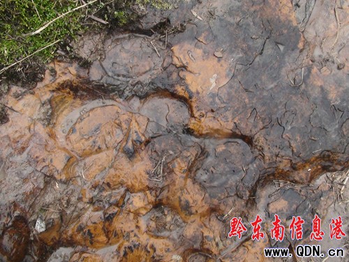 �����l�F�R���Ύrӡ���M�D��