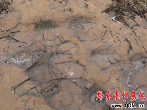 �����l�F�R���Ύrӡ���M�D��