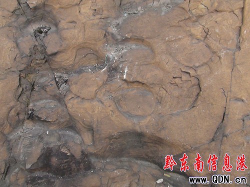 �����l�F�R���Ύrӡ���M�D��