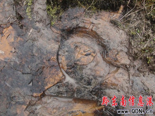 �����l�F�R���Ύrӡ���M�D��