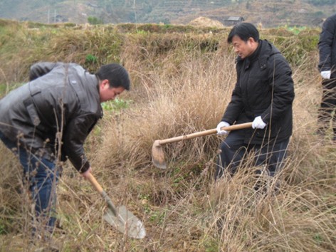 榕江縣春節義務植樹熱火朝天(圖)
