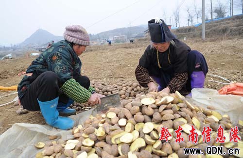 �紺�����r��æ���D��