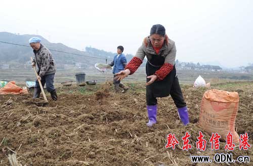 �紺�����r��æ���D��