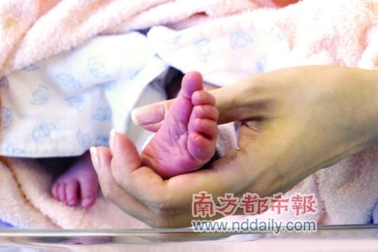 ��������ء���̥�����ˡ����� �a(ch��n)��͆��ع�