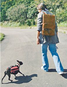 林熙蕾承認(rèn)新戀情 朱孝天寫微博暗示被背叛(圖)