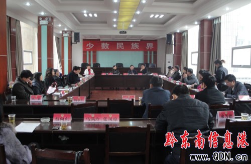 少數民族界委員暢談如何做好民族工作(圖)