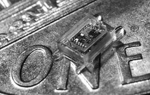 �����ƌW�Ұl����СӋ��C ��ֲ���۲�(�D)