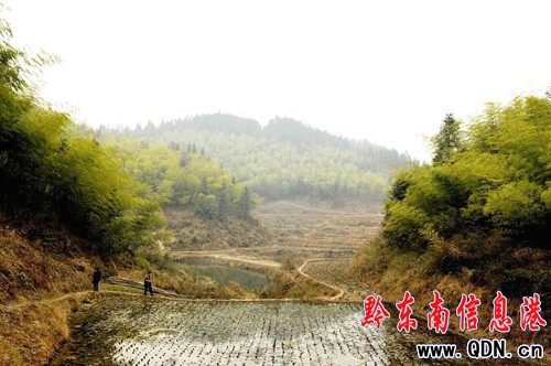 組民變股民 荒山變金山 困境變風景
