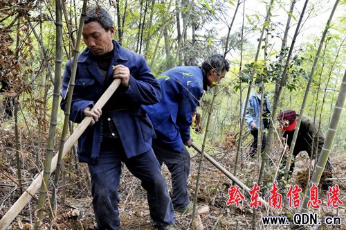 組民變股民 荒山變金山 困境變風景