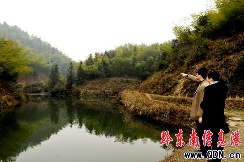 組民變股民 荒山變金山 困境變風景