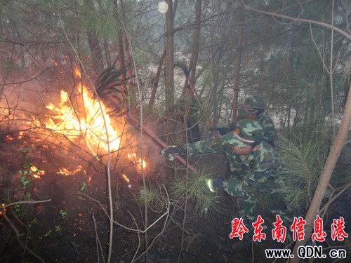 山火瘋狂肆虐 施秉消防3小時奮力撲救(圖)