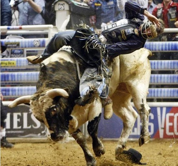 �M�D�������Tţ��ِ�@�U(xi��n)�f�� �Tʿ��đ��ţ