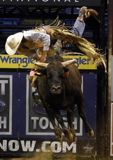 �M�D�������Tţ��ِ�@�U(xi��n)�f�� �Tʿ��đ��ţ