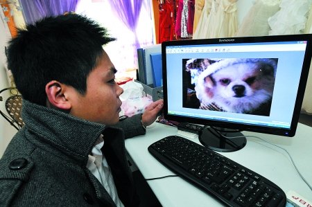 小狗跑進公園被3名門衛圍追亂棒打死(圖)