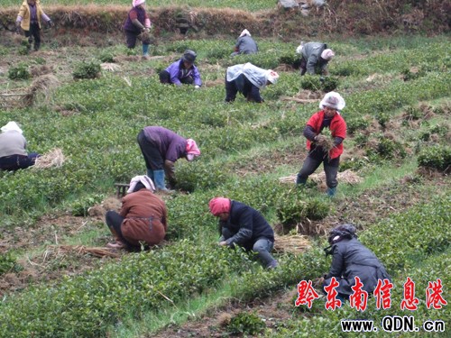 ��ɽ�r��L�����~���^�N��æ���D��