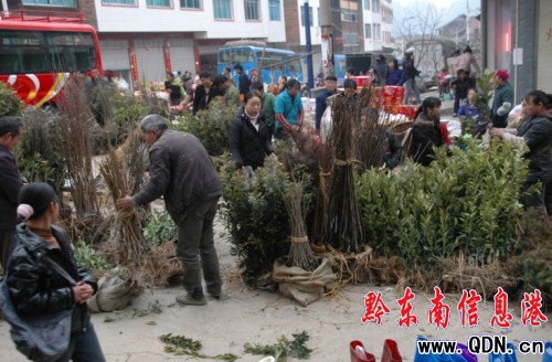 ���ӳ��l���������Ј����D��