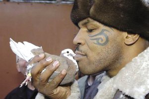 泰森養鴿子被批虐待動物 劣跡斑斑已難獲信任