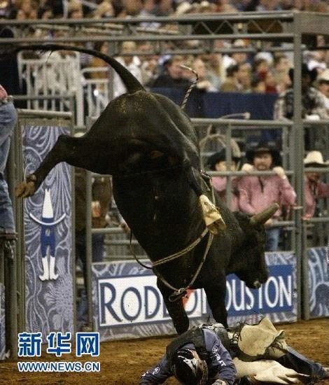 �����Tţِ���ʼ��� �x���U��ţ���`̤(�M�D)