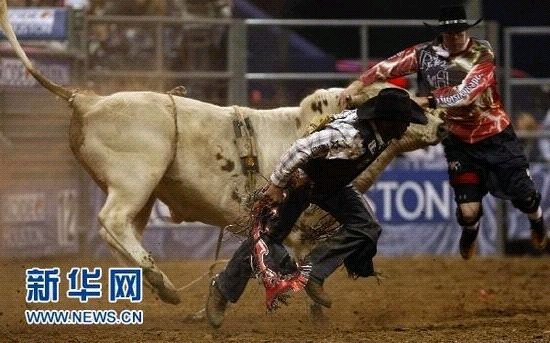 �����Tţِ���ʼ��� �x���U��ţ���`̤(�M�D)