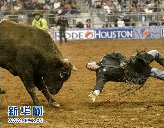 �����Tţِ���ʼ��� �x���U��ţ���`̤(�M�D)