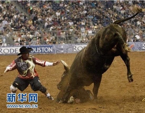 �����Tţِ���ʼ��� �x���U��ţ���`̤(�M�D)