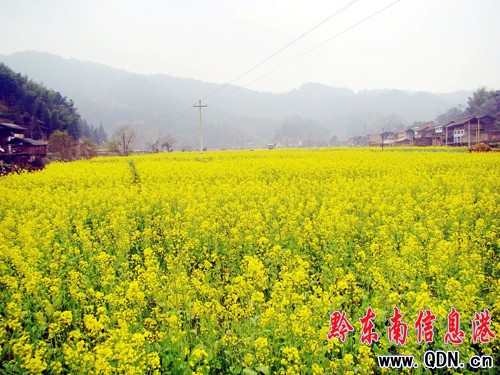 3����Ѯ���F���\���p�Ͳ˻�ȥ�����M�D��