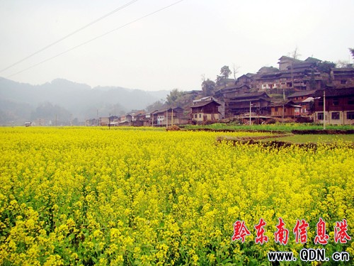 3����Ѯ���F���\���p�Ͳ˻�ȥ�����M�D��