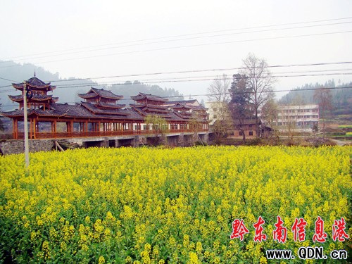 3����Ѯ���F���\���p�Ͳ˻�ȥ�����M�D��