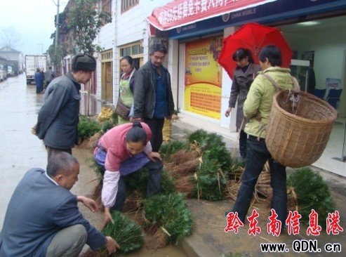 �\��ɼľ���N�ۃrһ·�߸ߣ��D��