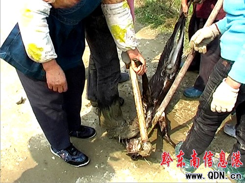 �������o����ڿ��ˮ������ �ܷ��ƴ��ɐ����`