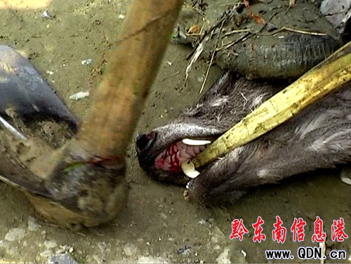 �������o����ڿ��ˮ������ �ܷ��ƴ��ɐ����`