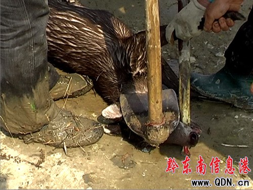 �������o����ڿ��ˮ������ �ܷ��ƴ��ɐ����`