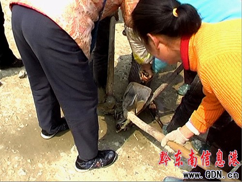 �������o����ڿ��ˮ������ �ܷ��ƴ��ɐ����`