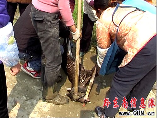 �������o����ڿ��ˮ������ �ܷ��ƴ��ɐ����`