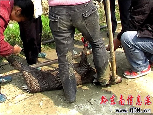 �������o����ڿ��ˮ������ �ܷ��ƴ��ɐ����`