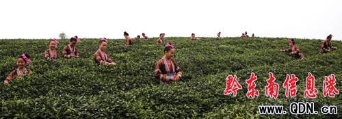 ��ƽ��Ů�ɲ�æ���D��