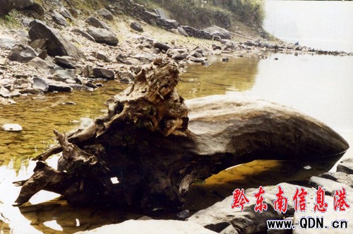 ǧ���z�������F�݄��ӡ��״������γ�֮�i