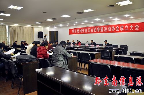 黔東南州掛牌成立跆拳道運動協會