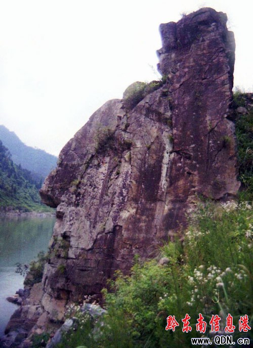 �x��ͨ�ɰ�׭�� ���i�˽䡱�ؽ��ʯ���D��