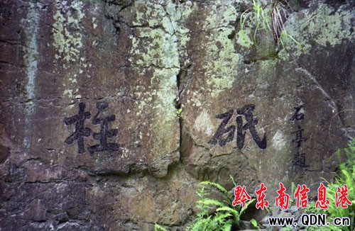 �x��ͨ�ɰ�׭�� ���i�˽䡱�ؽ��ʯ���D��