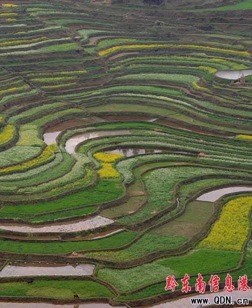 ꖴ��������ﴺɫ���箋���D��