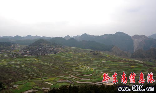 ꖴ��������ﴺɫ���箋���D��