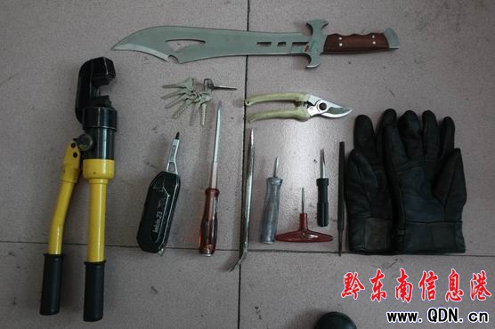 凱里警方打掉一盜車團伙(圖)