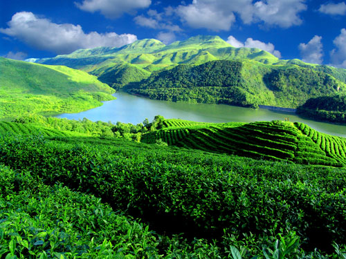 �c���g�[��һ�