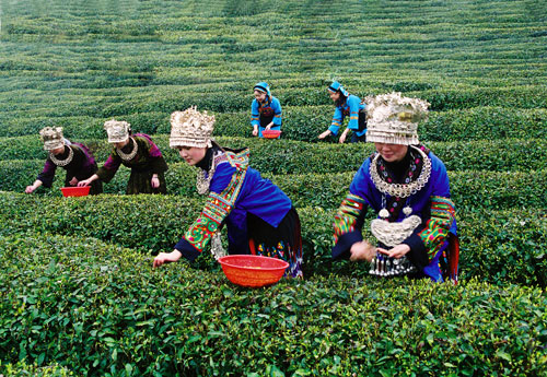 �c���g�[��һ�