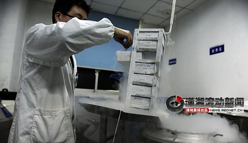 �Lɳ���ӎ�漱 �ȴ����ЋDŮ�ŵ�2012��(�D)